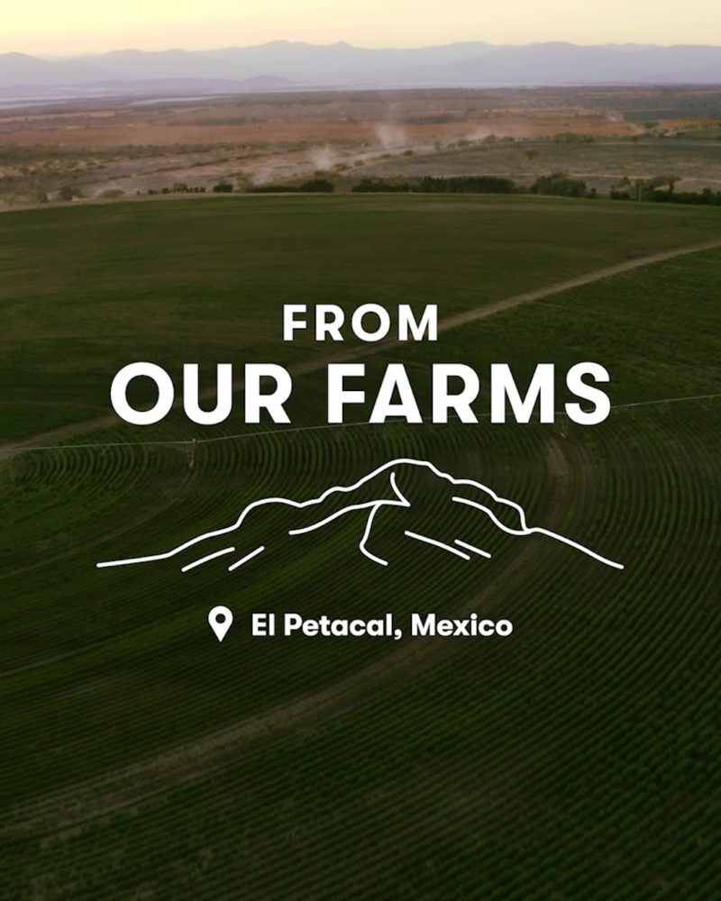 From our farms: Certified Organic Nutrilite El Petacal Farm
